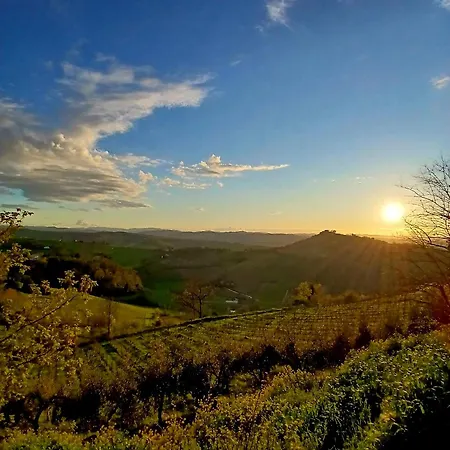 Apartment Il Nido In Collina *