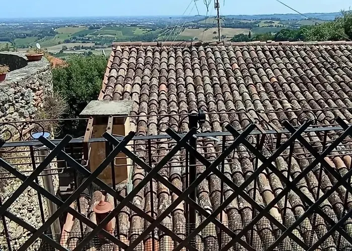 Il Nido In Collina 公寓 贝尔蒂诺罗